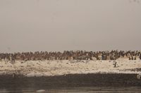 
DSC00156